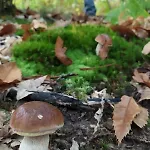 Il Rifugio Di Vale Prázdninový dům *