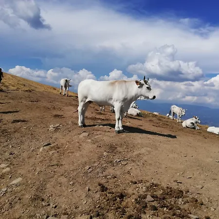 Il Rifugio Di Vale * Cetica