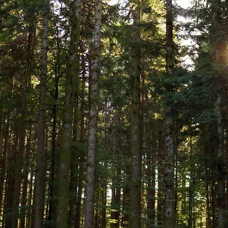 Il Rifugio Di Vale Prázdninový dům