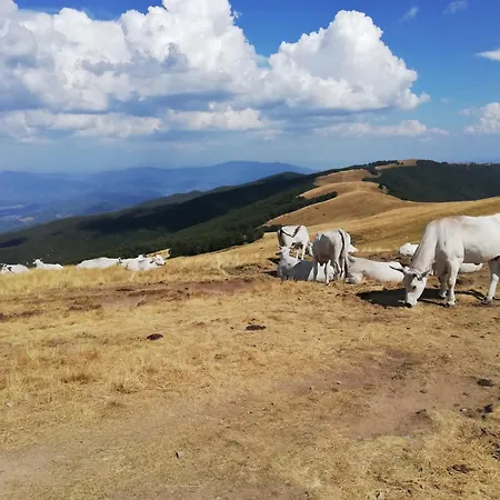 Il Rifugio Di Vale * Cetica
